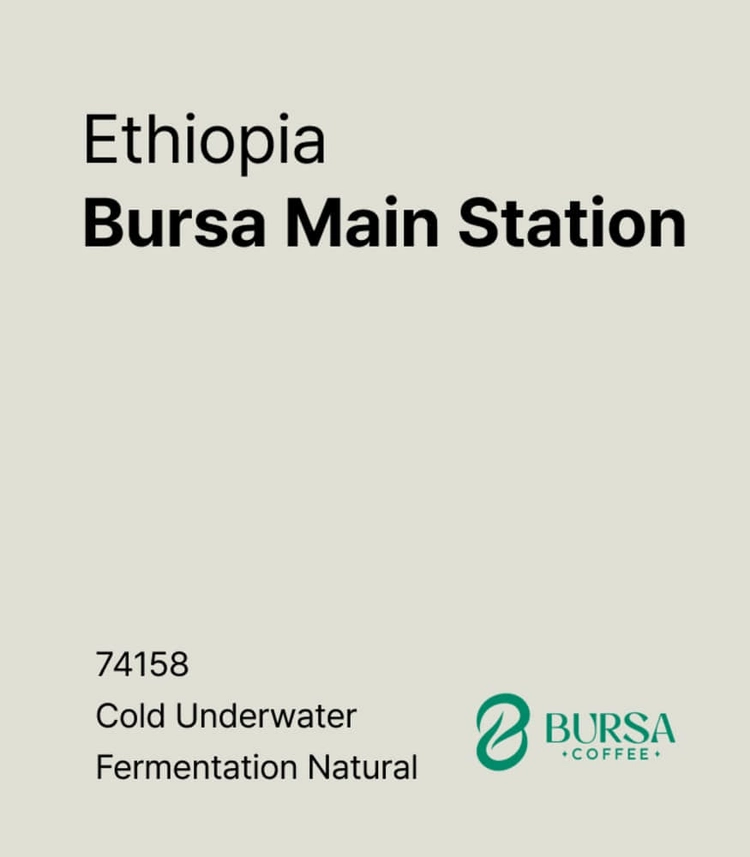 Ethiopia Bursa Main Station G1 Cold Underwater Fermentation Natural