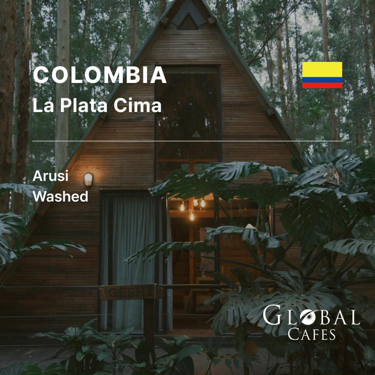 Colombia La Plata Cima Arusi Washed