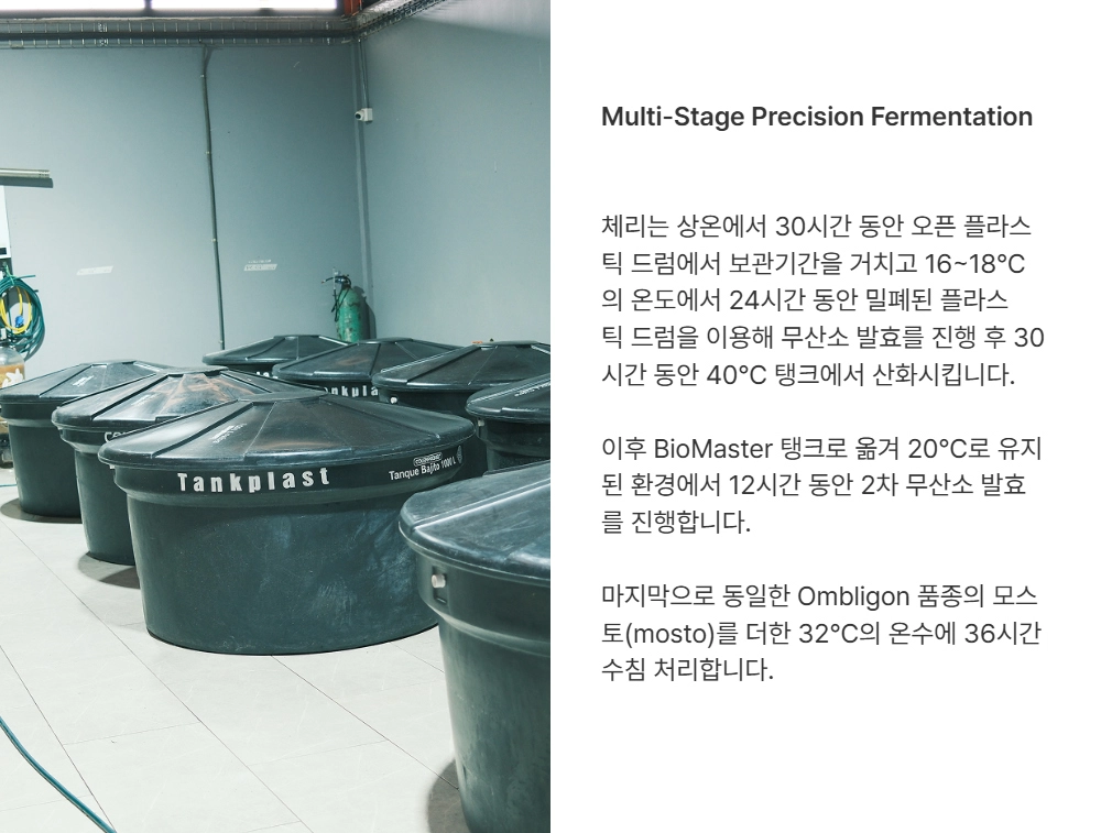 악세사리 카키 색상 이미지-S17L2