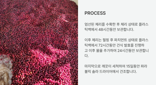반팔 티셔츠 -S24L2