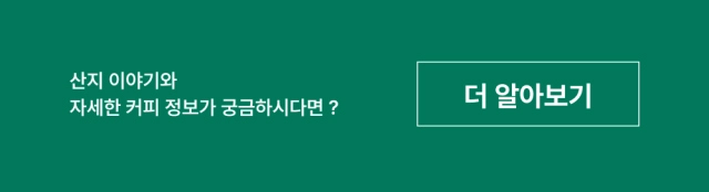 악세사리 그린 색상 이미지-S32L3