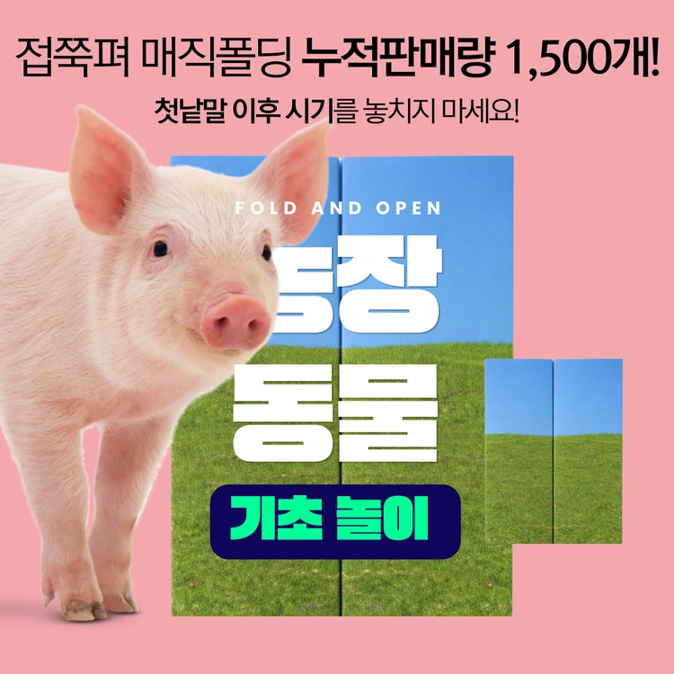 기획전 이미지
