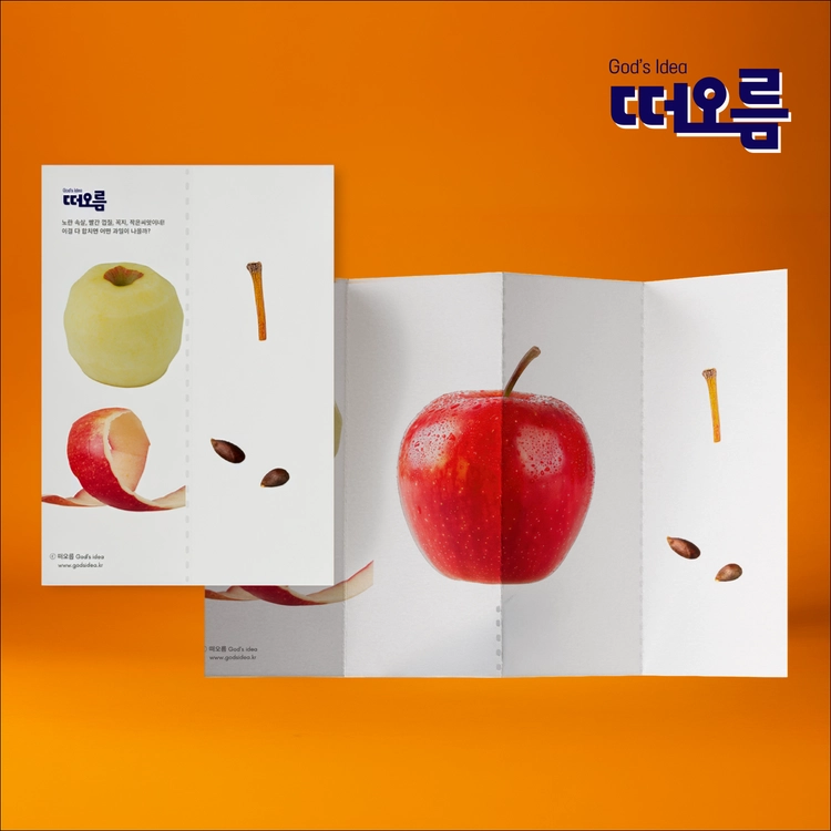 기획전 이미지