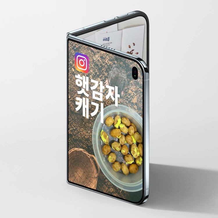 기획전 이미지