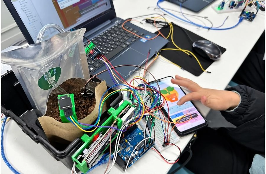 앱 연동 IoT 스마트팜 · 강원대·춘천시 디지털 오픈캠퍼스