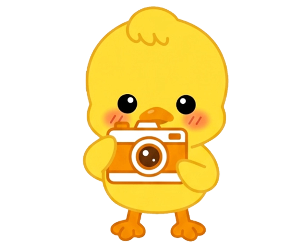안내 캐릭터