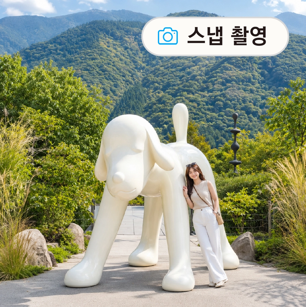 히타+유후인+벳부