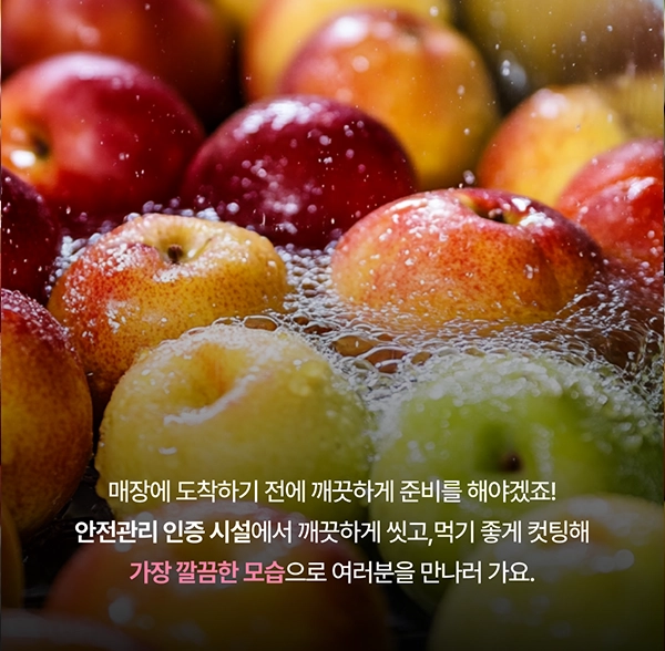 카드 이미지