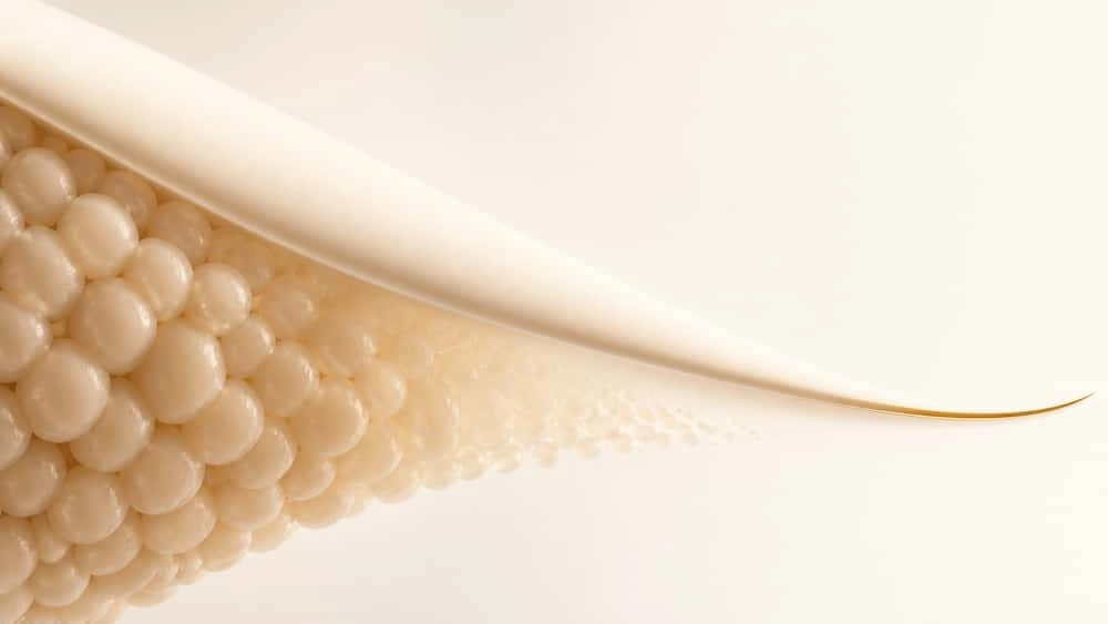 Illustration of the fat layer under loose skin