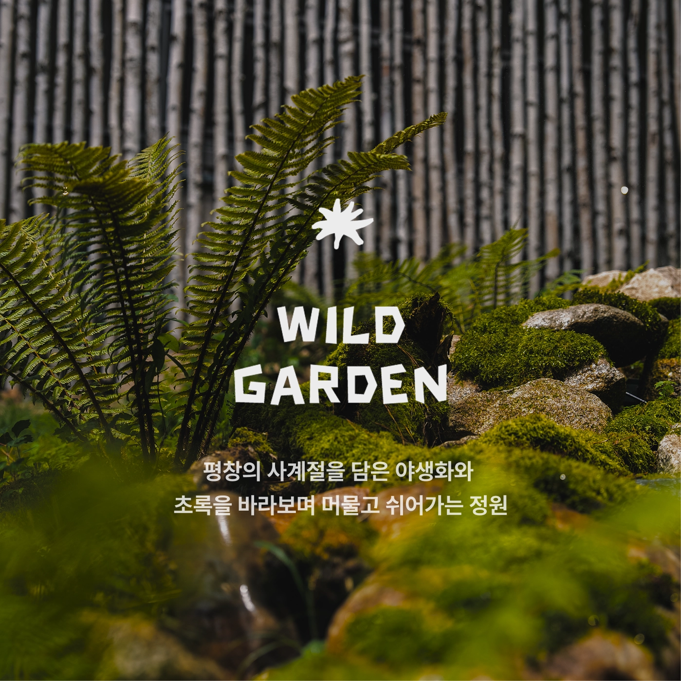 배너 이미지 1