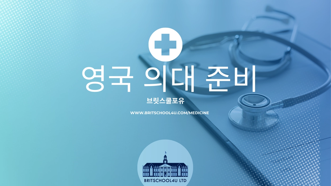 아티클 대표 사진