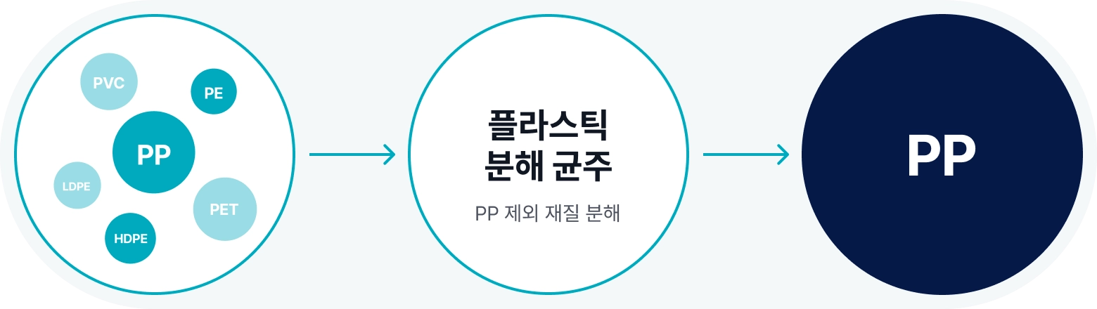 카드 이미지