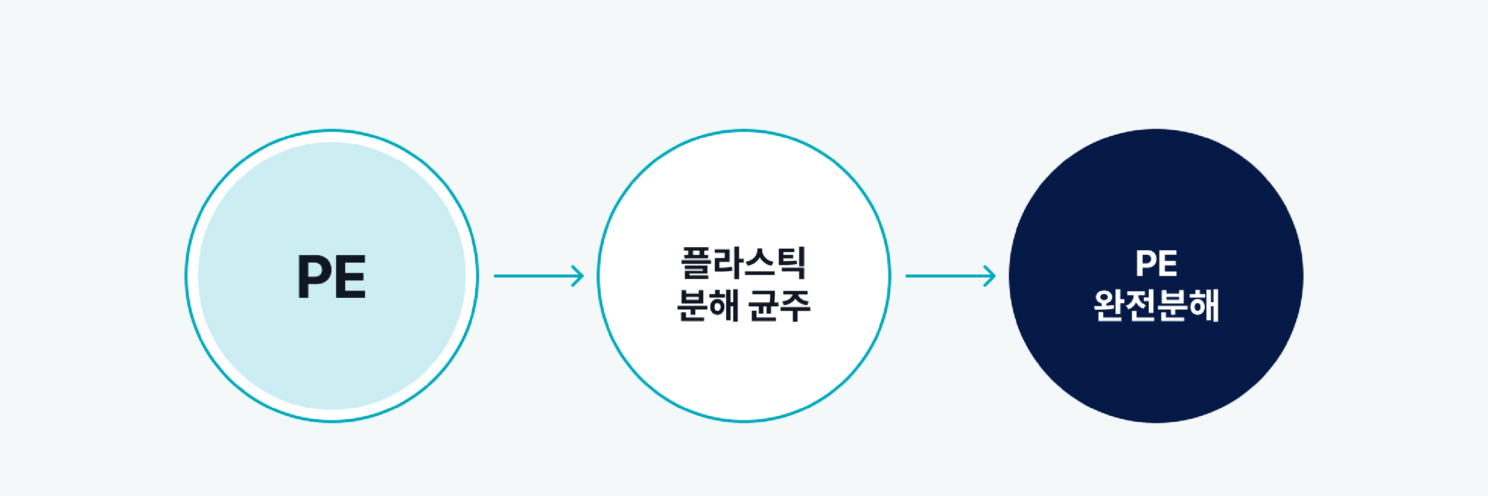 카드 이미지