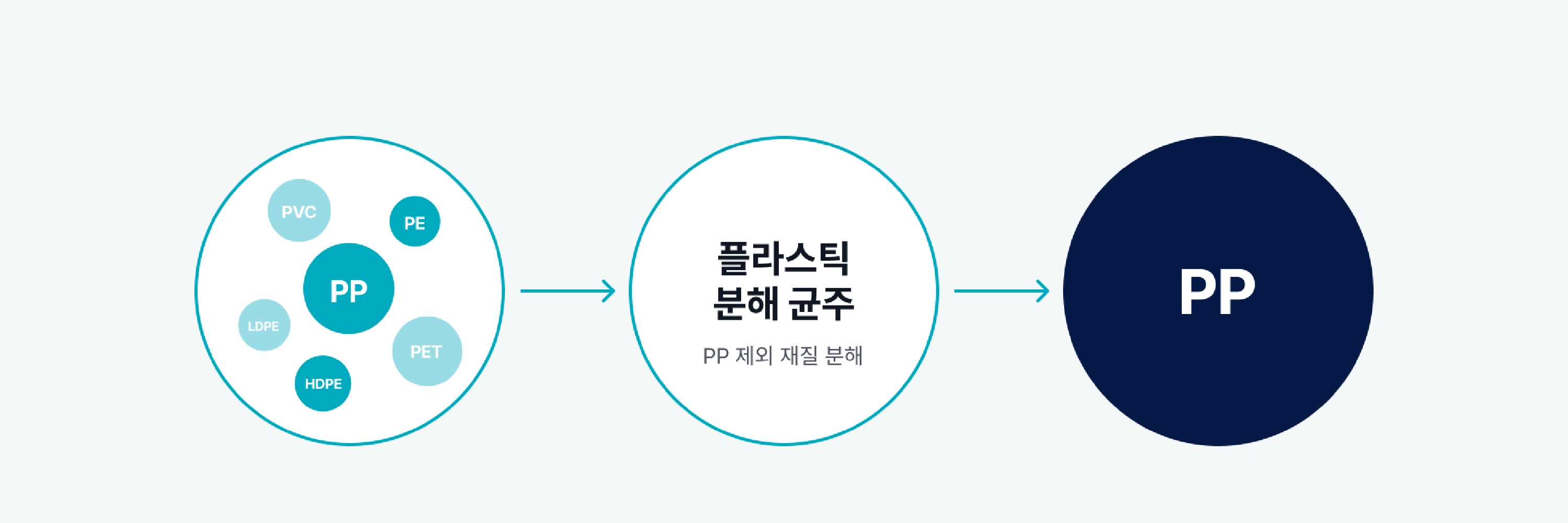 카드 이미지