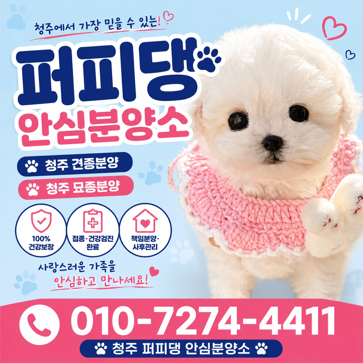청주강아지분양