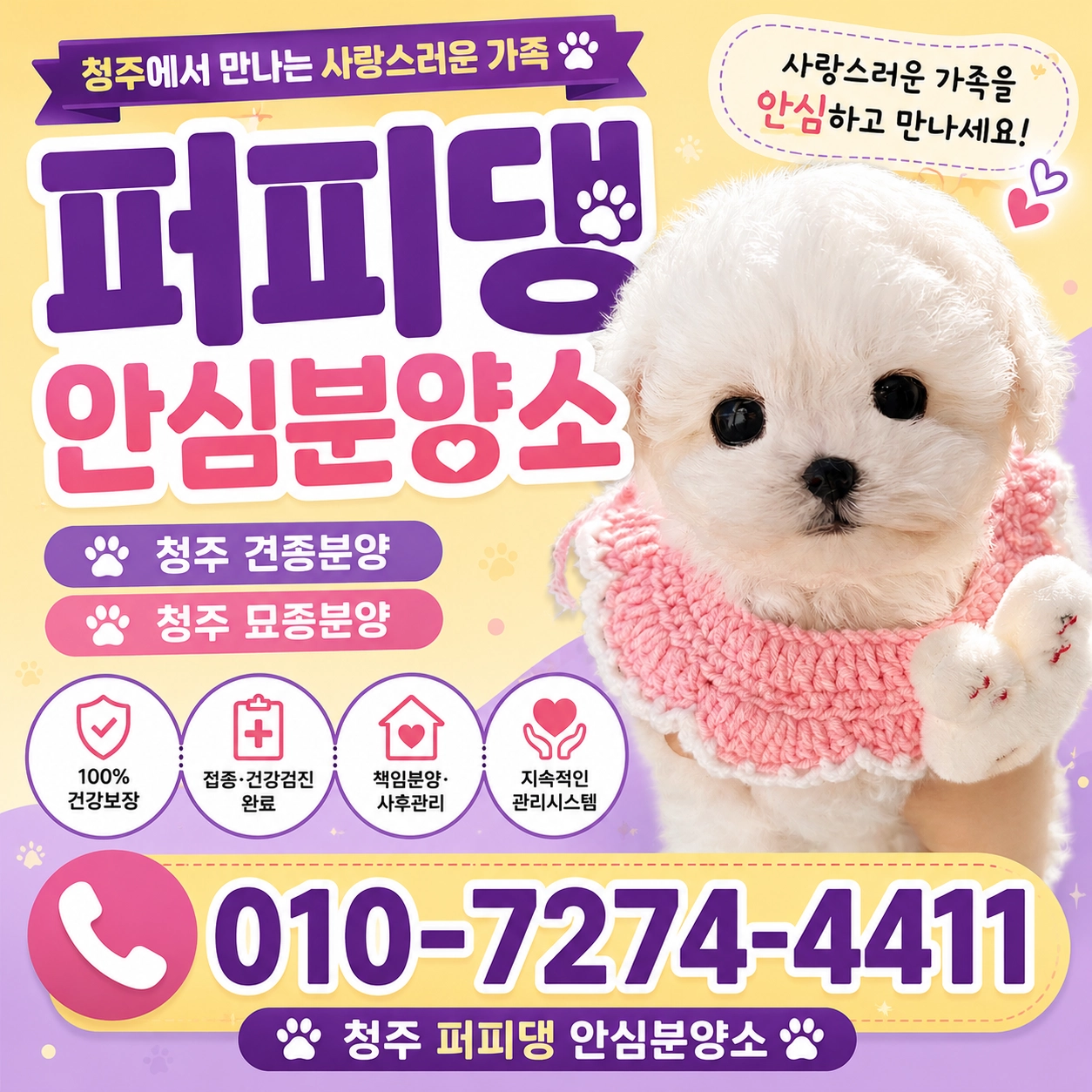청주애견분양