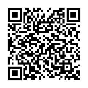 Tmoney GO App Download(Google play)