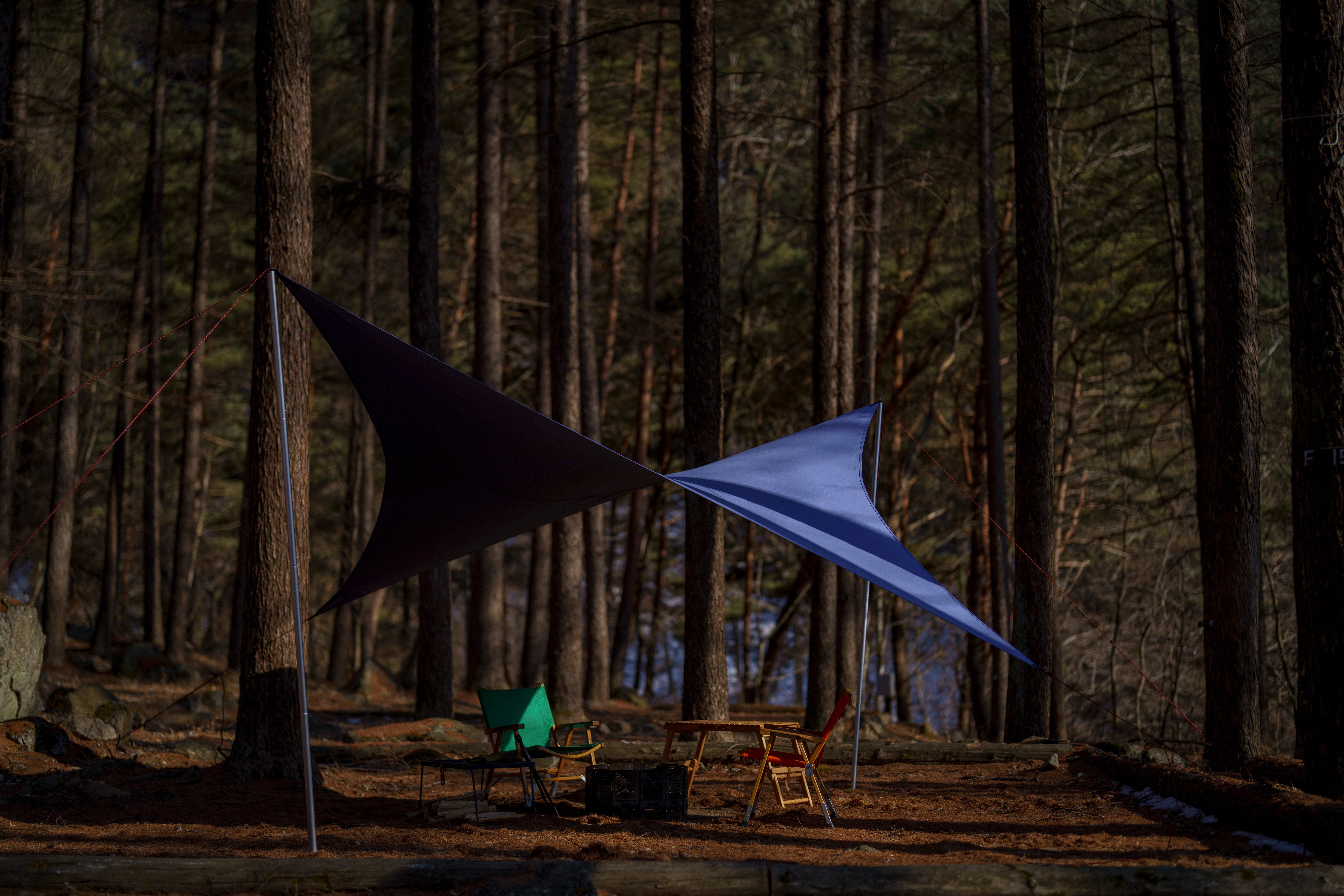 TARP