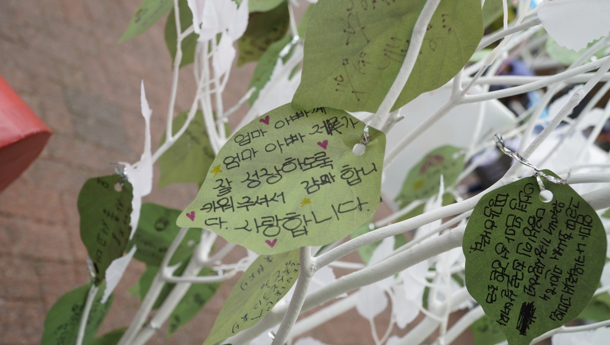 첫 화면 배경 사진2