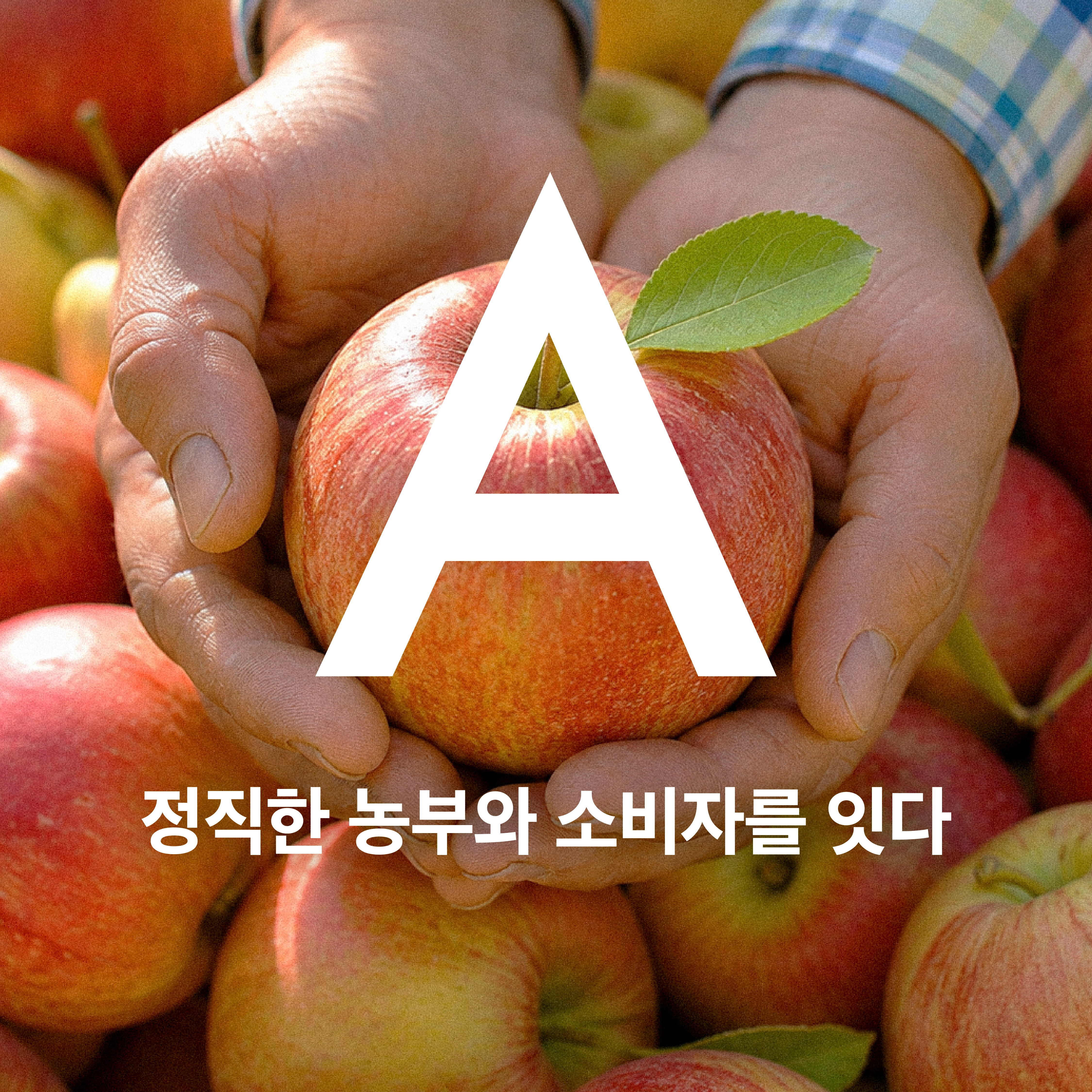 A 시리즈