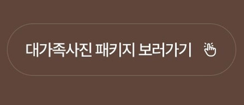 영정·복원사진 페이지의 대가족사진 패키지 보러가기 버튼