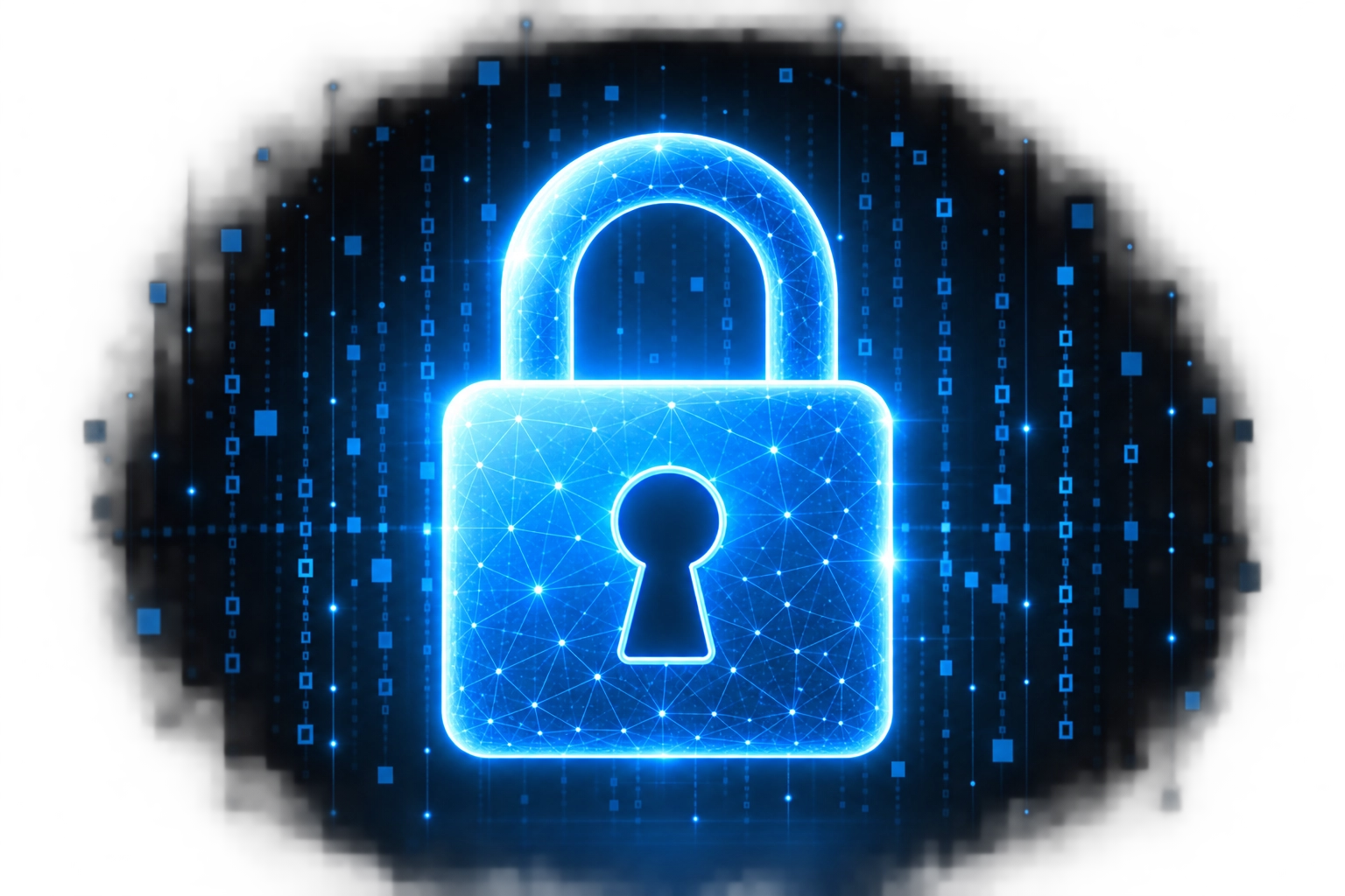 Privacy & Data Risk 이미지