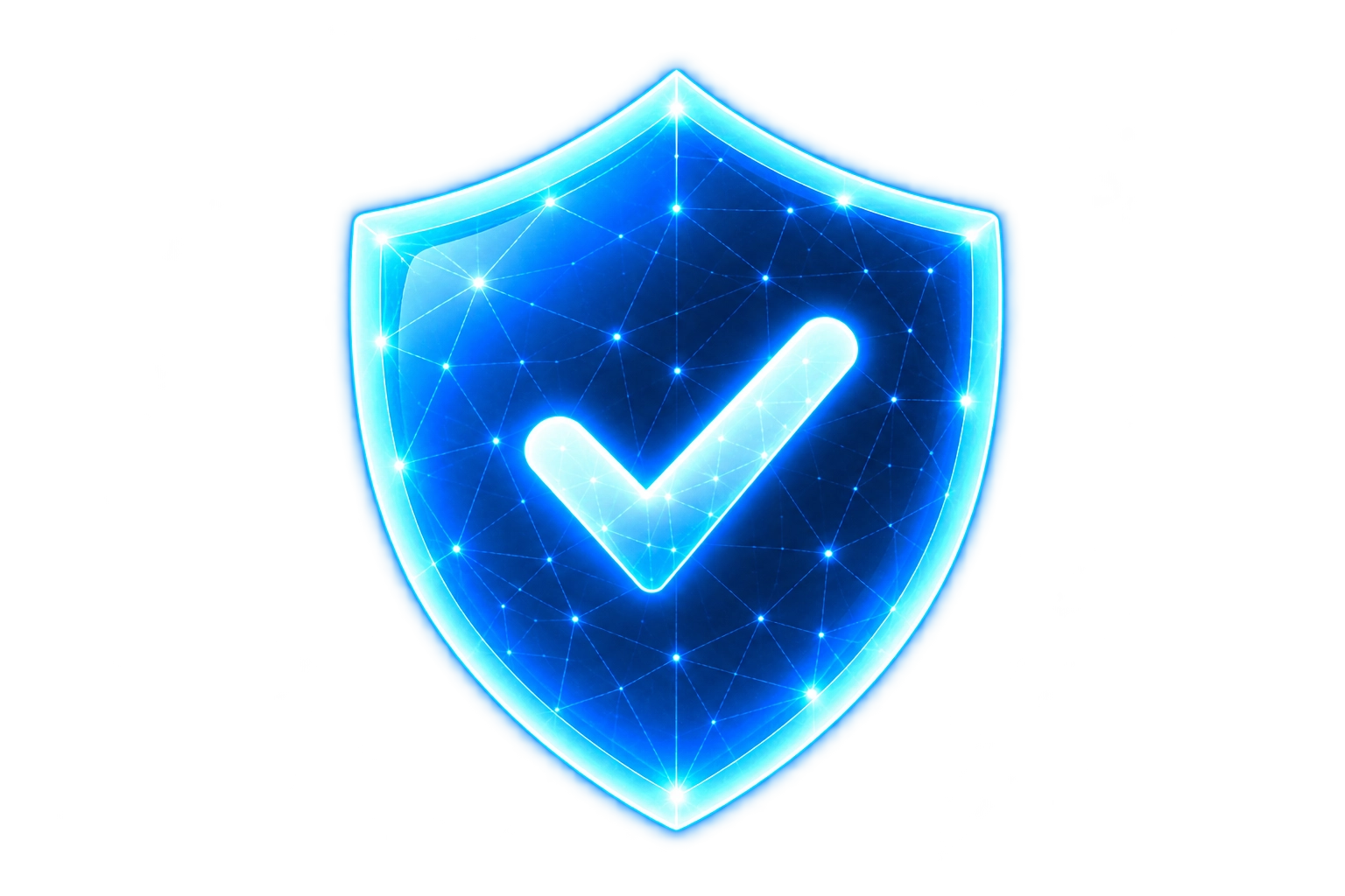 Security & Privacy Risk 이미지