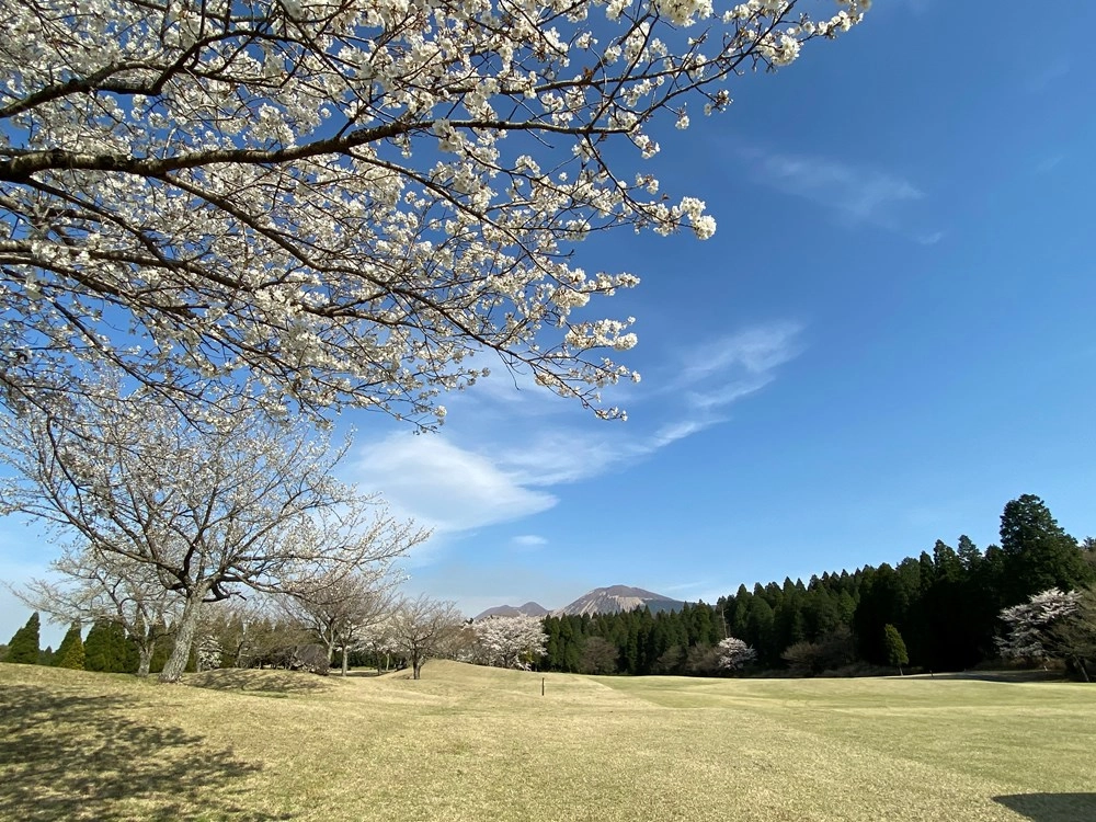 오사카,동경,구마모토,북해도,히로시마
