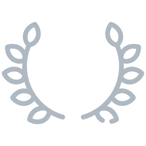 특징 아이콘