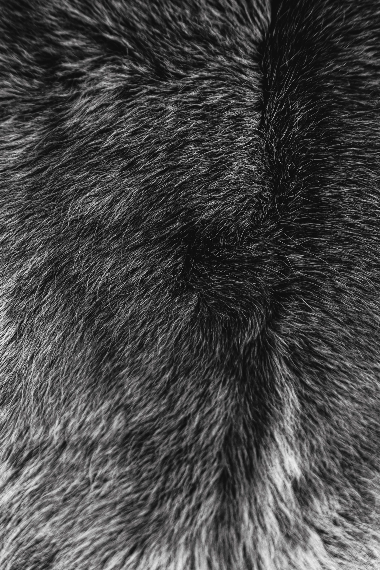 BLACK·CHARCOAL