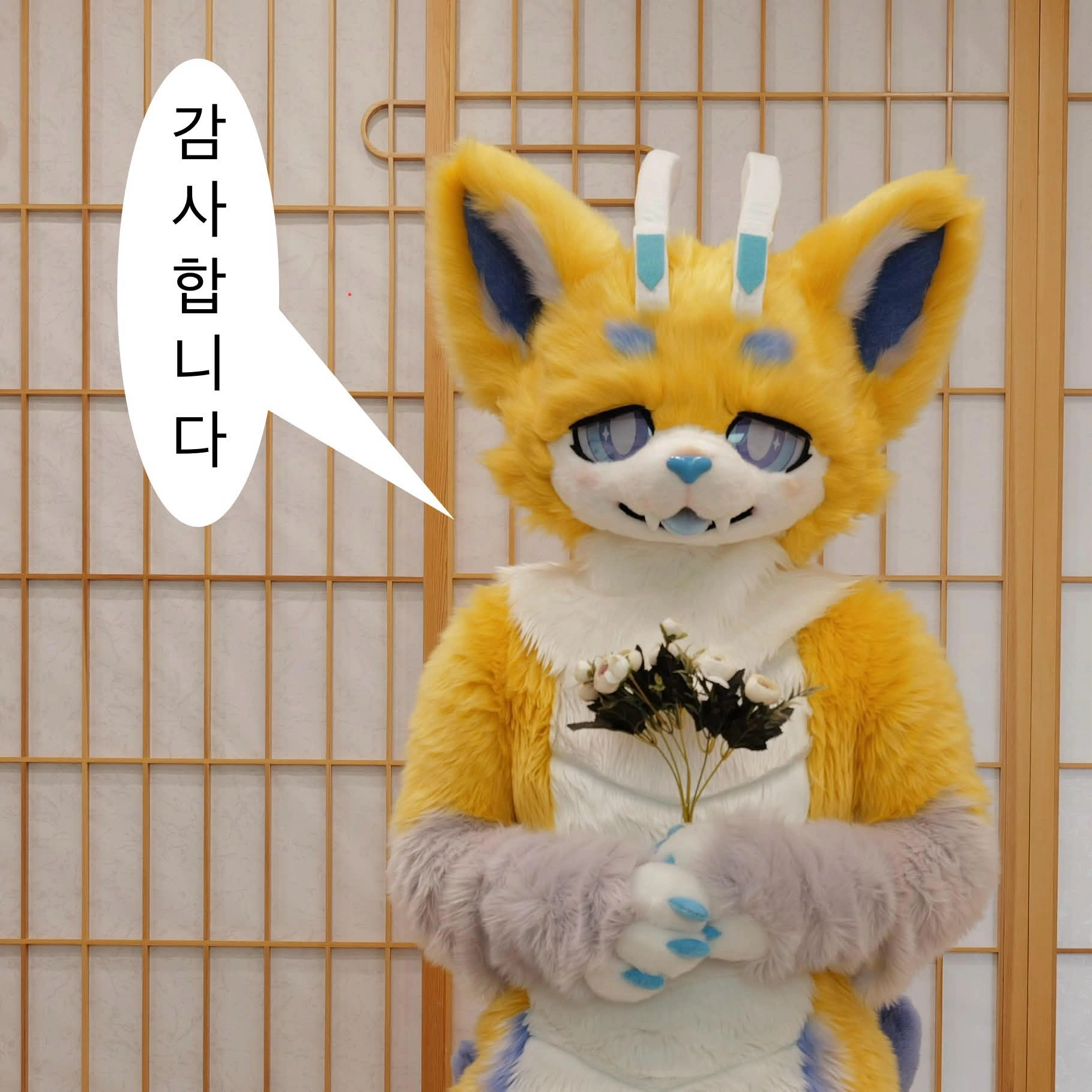 Fenky(老奇) 프로필 사진