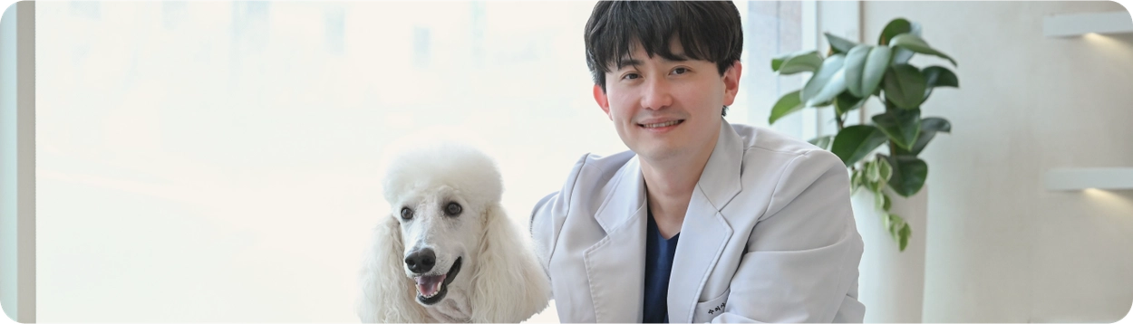 강아지 건강검진, 왜 필요할까요?