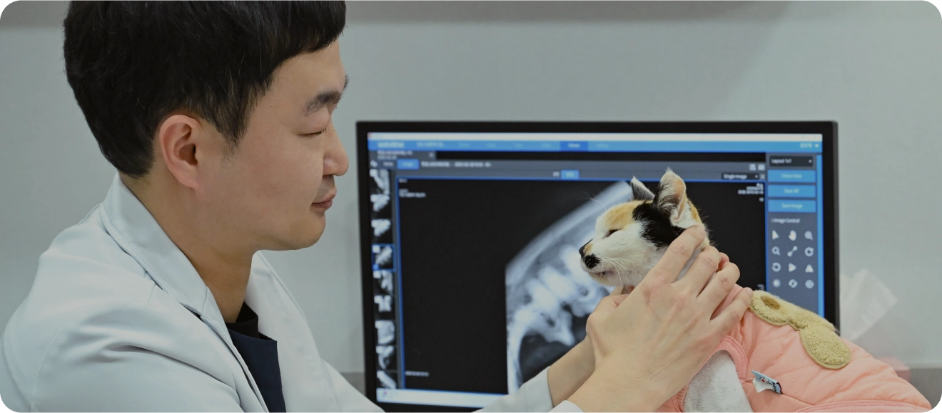 고양이 특화 진료는 왜 필요할까요?