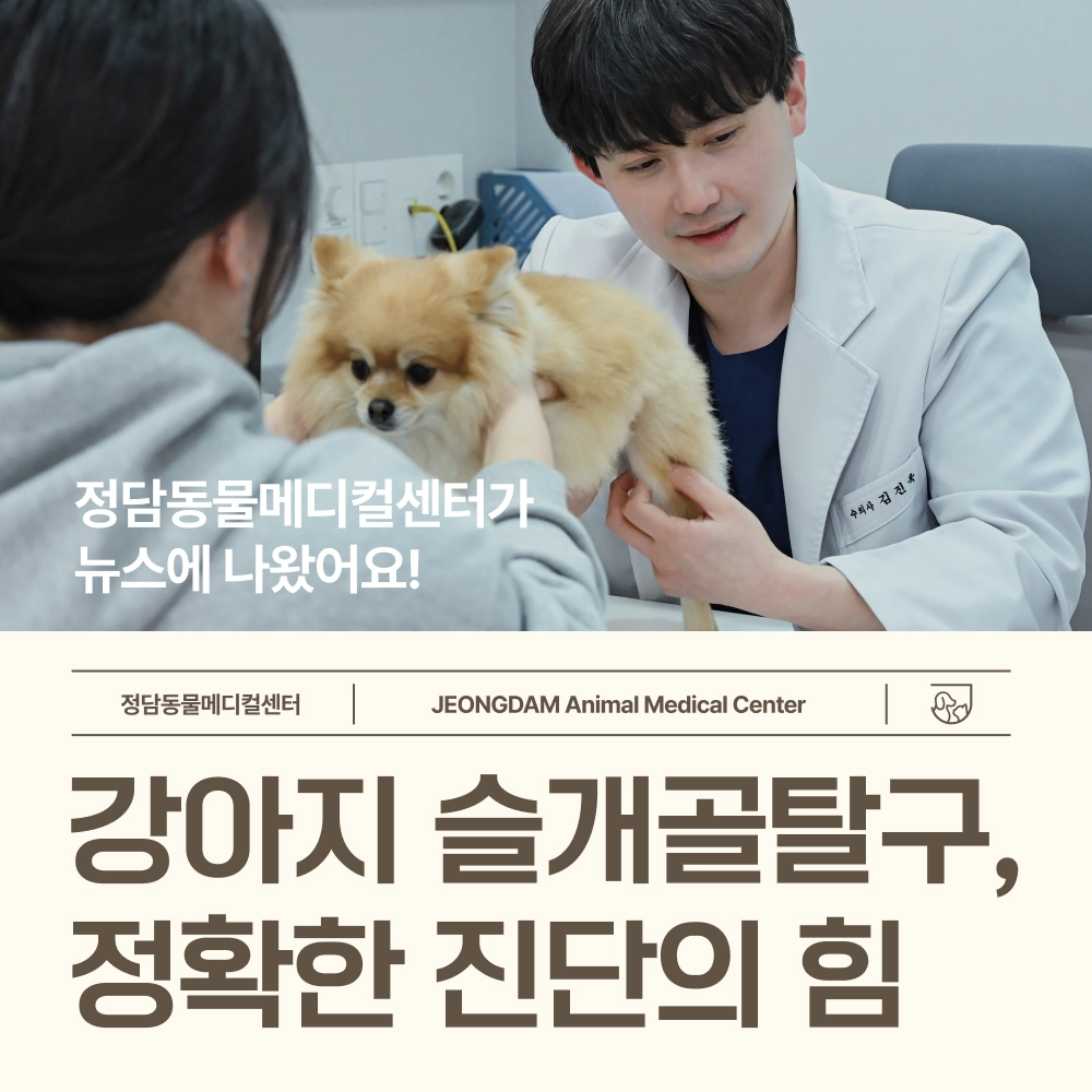 언론소개