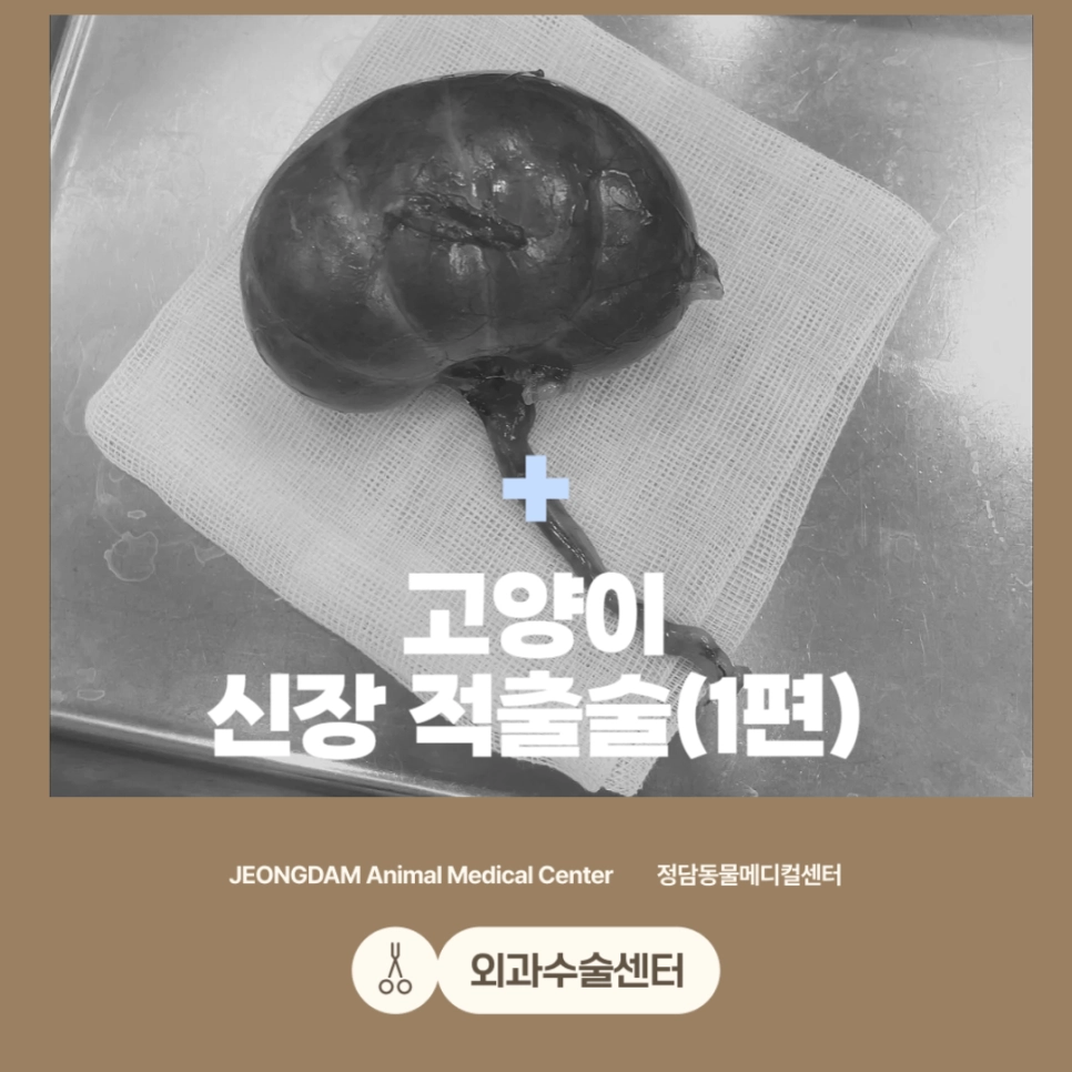 수신증 치료 사례