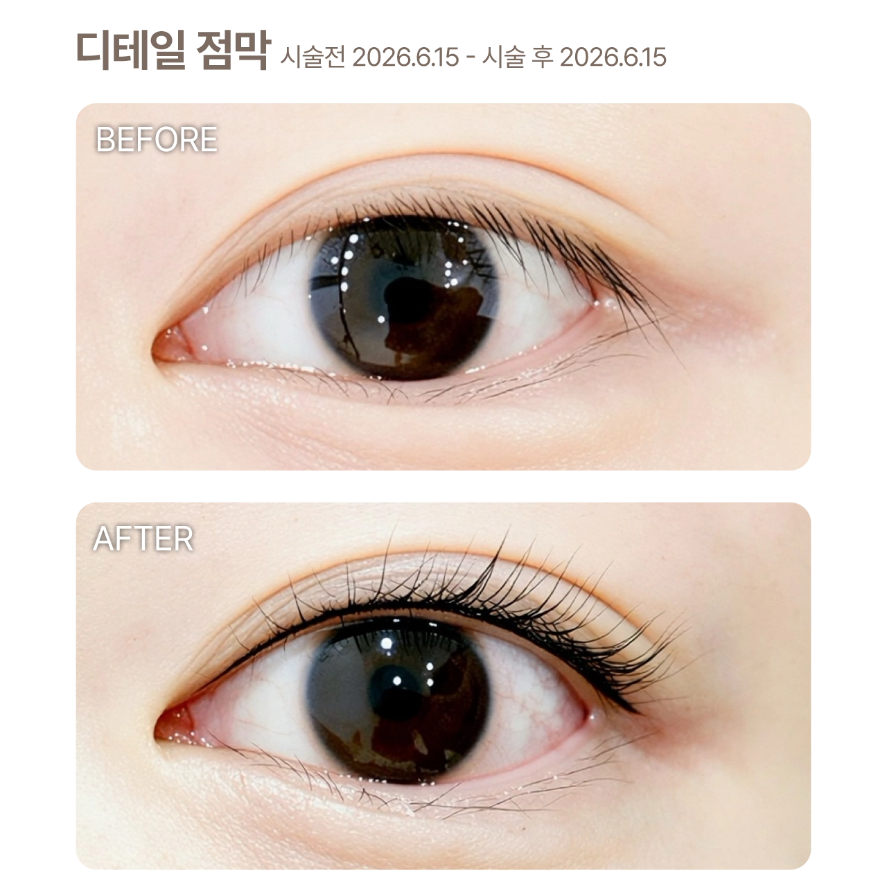 카드 이미지