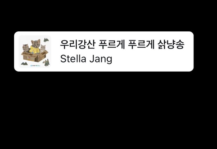 삵냥송 인스타
