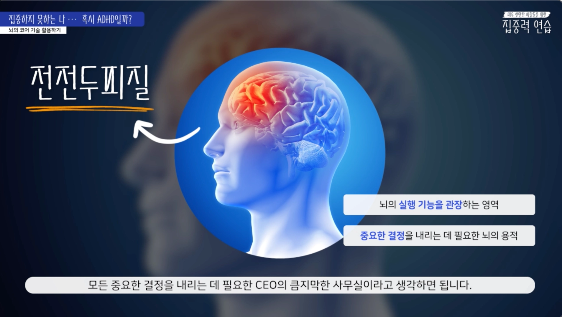 [도둑맞은 집중력 되찾기] 