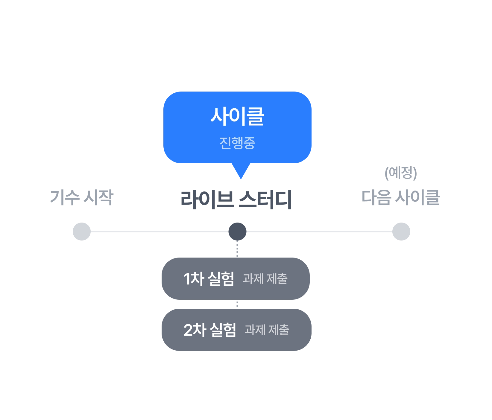 기수 시작 후 라이브 스터디로 사이클을 시작하고 1차·2차 실험 과제를 제출한 뒤 다음 사이클로 이어집니다.