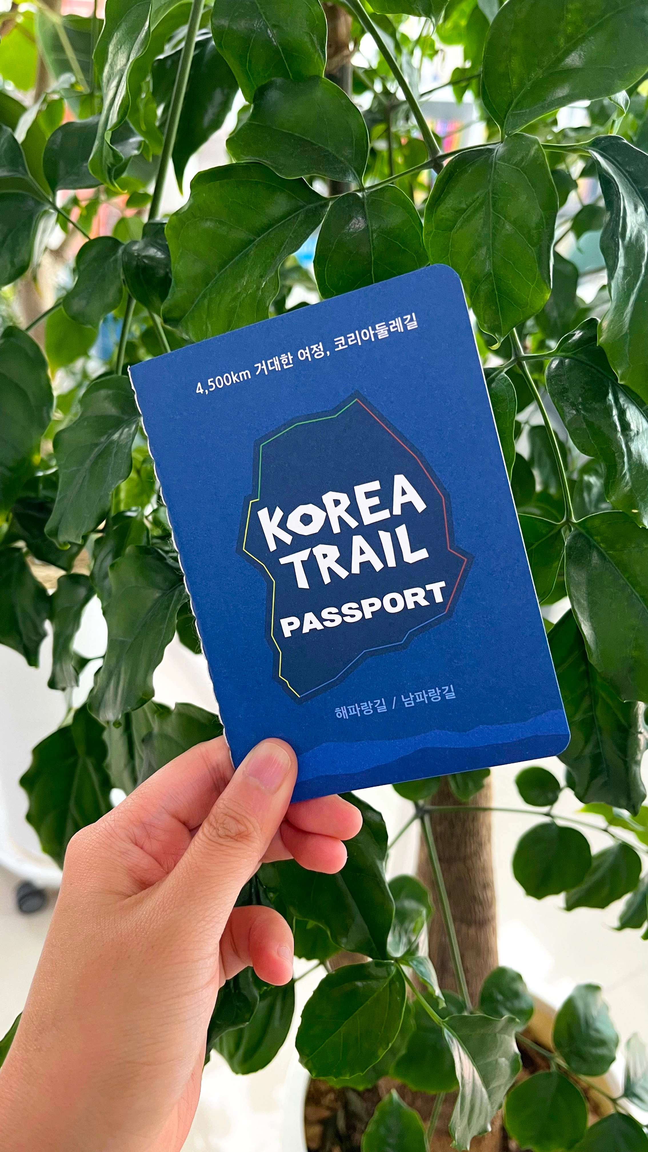 카드 이미지