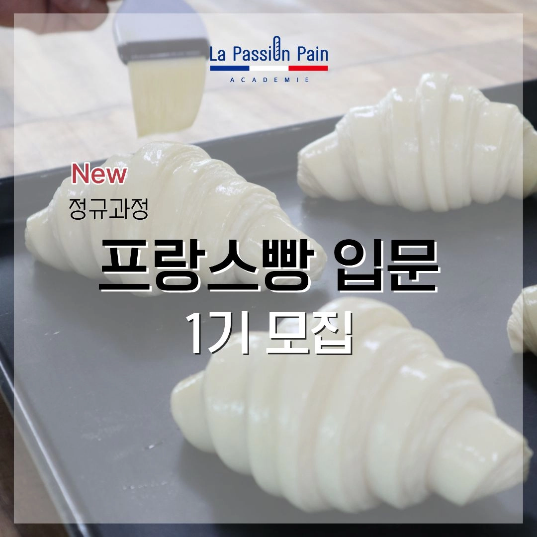 쿠폰 혜택 안내
