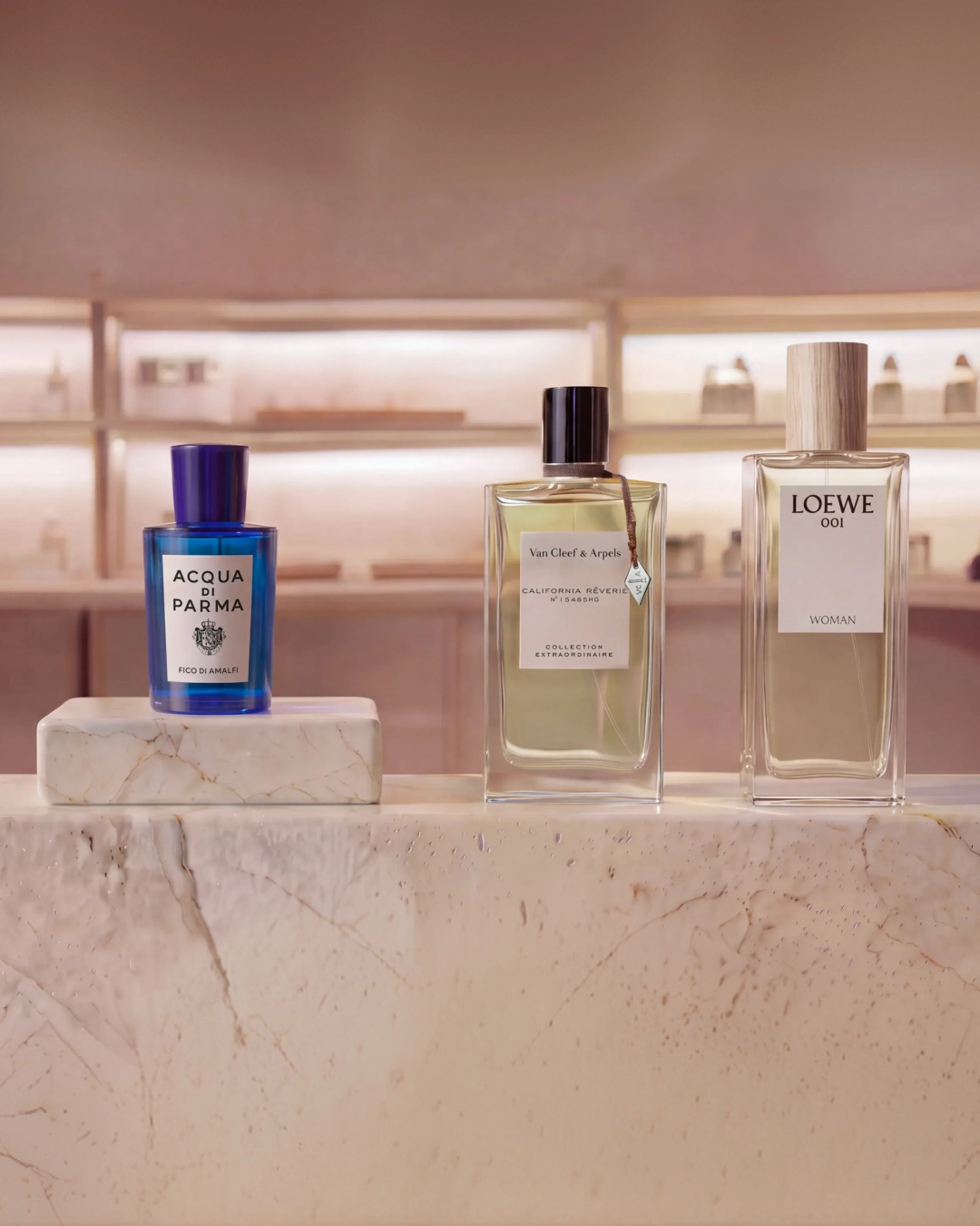 THE PERFUME EDIT 10.1~10.12