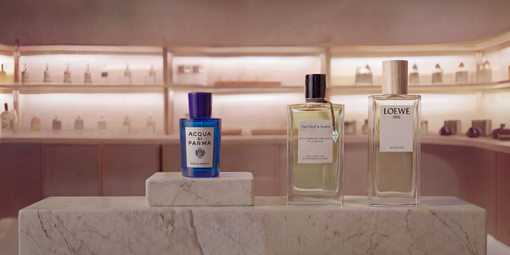  THE PERFUME EDIT