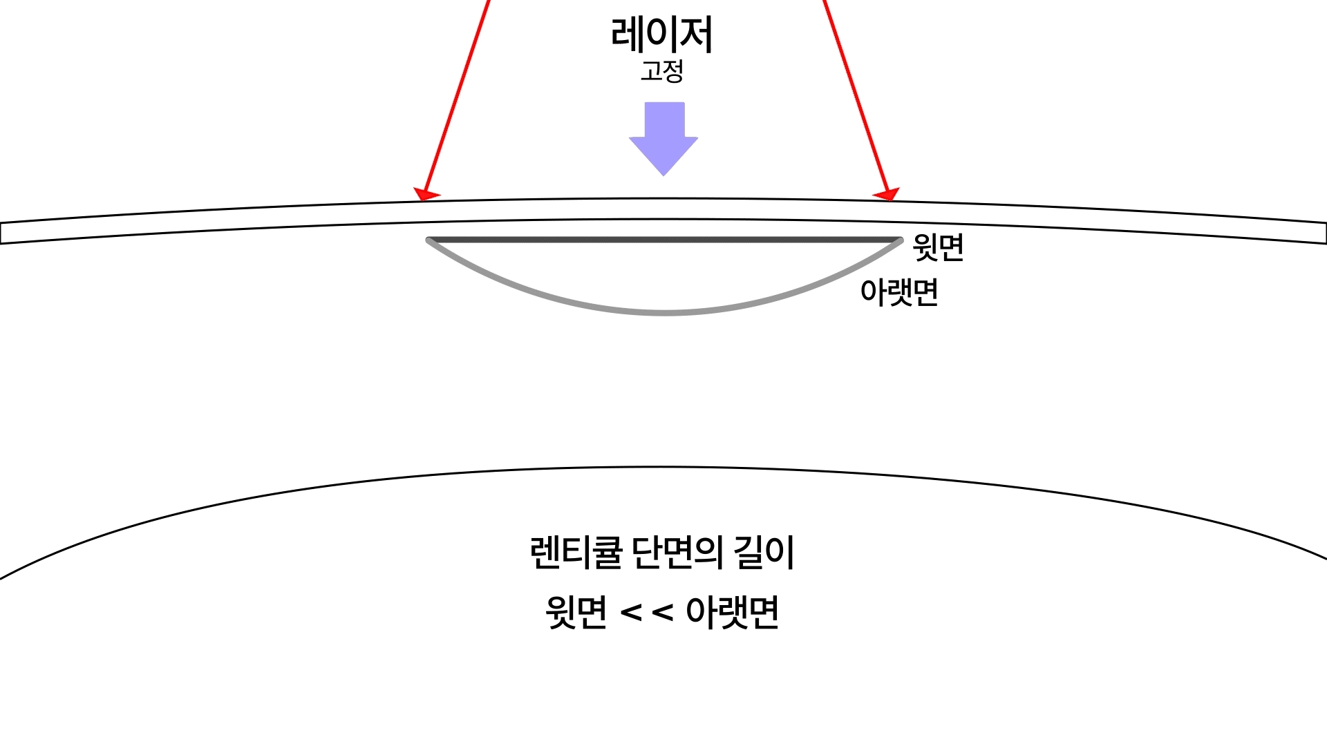 기존 렌티큘 단면