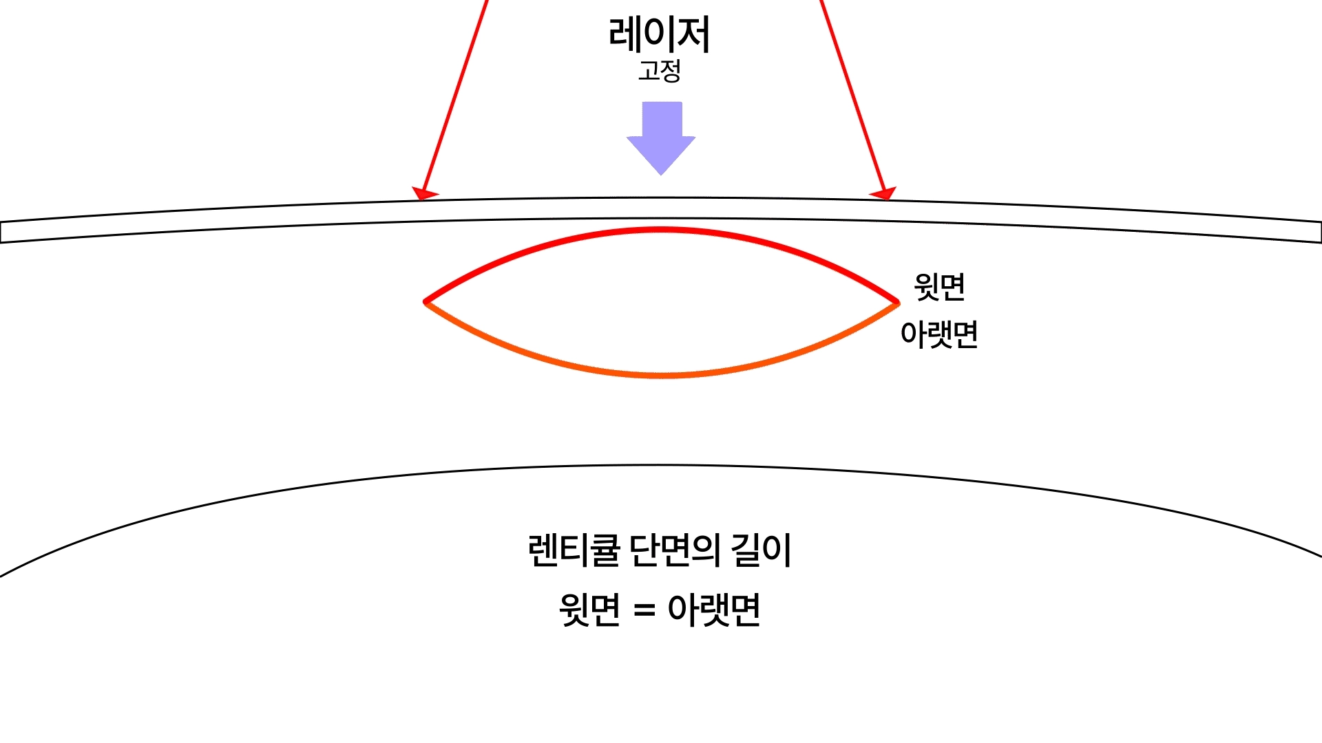 실크 렌티큘 단면