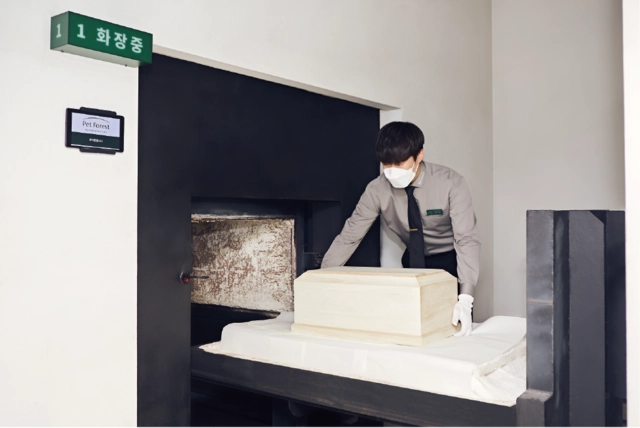 절차 이미지