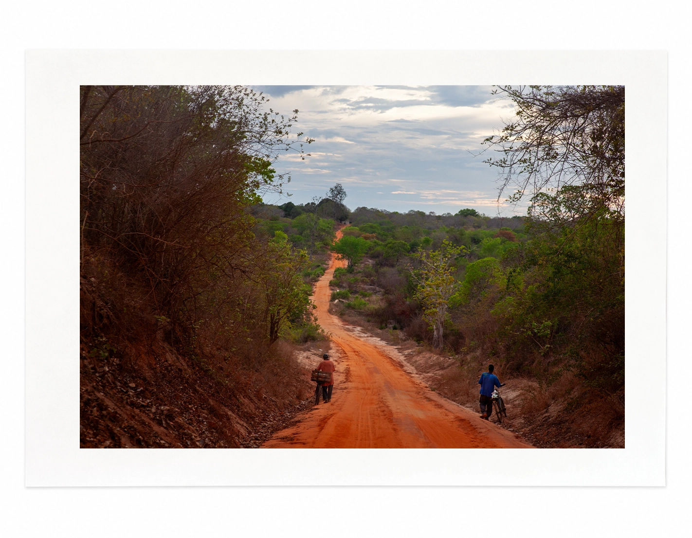 Tanzania, 2008