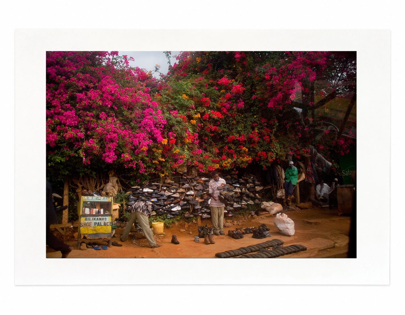 Tanzania, 2008