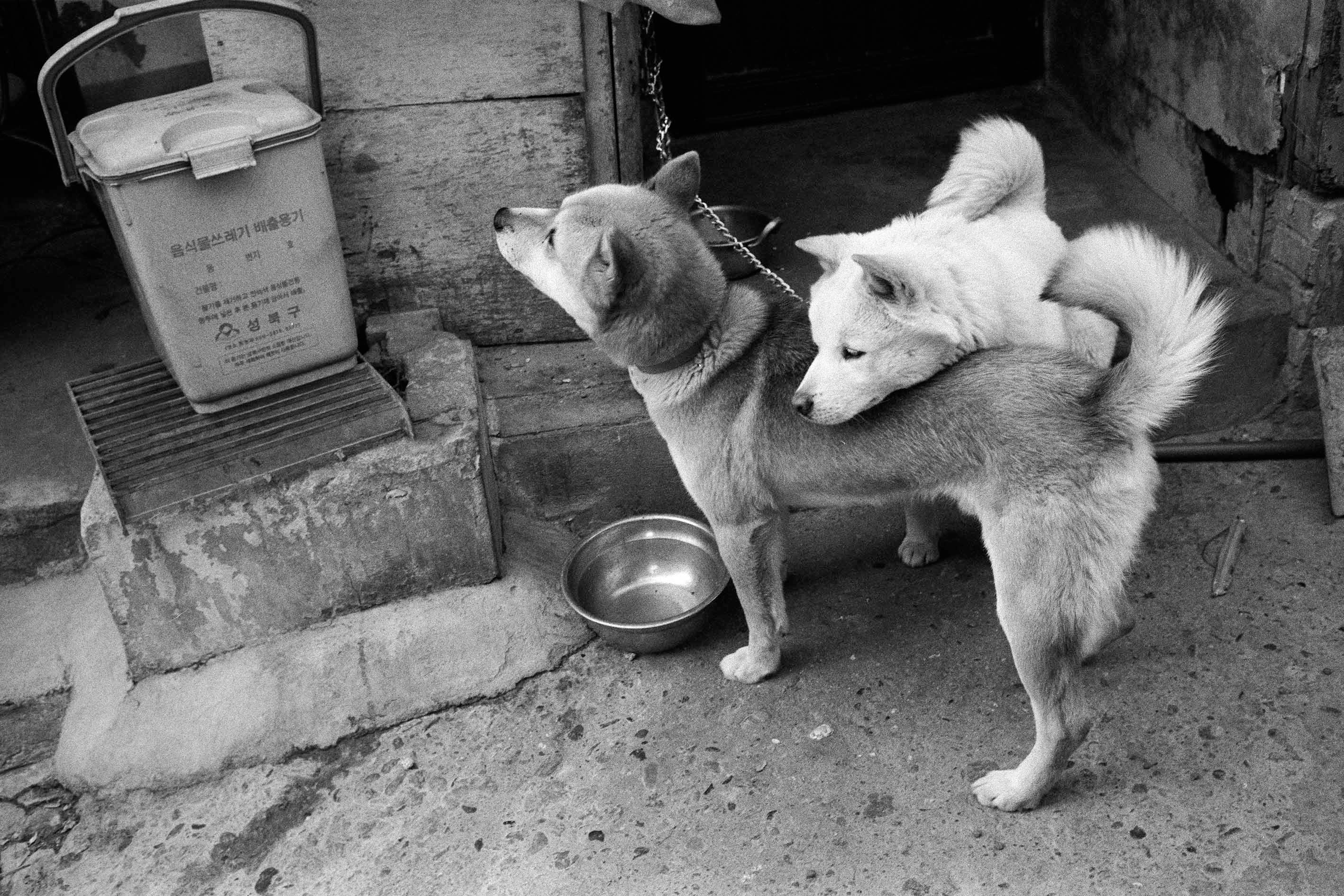 프린트 작품 이미지