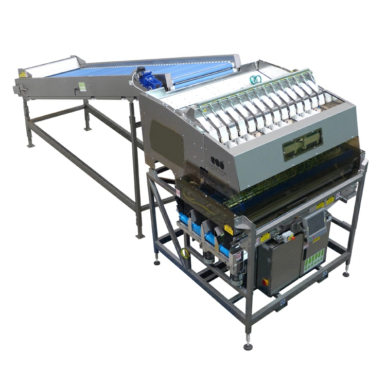 SORMA- W14-126